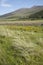 Countryside in Dingle Peninsula