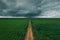 Countryside dirt road through agricultural fields with wind turbines in background