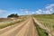 Countryside dirt road through farmlands