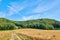 Countryside dirt road leading to green forest or woods and past agriculture fields or farm pasture. Landscape view of
