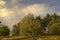 Countryside dutch meadow landscape with grass under scenic sunset sunrise sky. Panorama of dramatic landscape