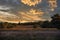 Countryside dutch meadow landscape with grass under scenic sunset sunrise sky. Panorama of dramatic landscape.nic sunset sunrise