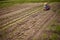 Countryside farmer planting crops in a neat line on sustainable, agriculture farm field. Woman gardener or worker