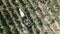 Countryside farms, vineyard grapes, aerial view of grapes harvest with tractor