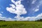 Countryside field natural background. Green grass and blue sky. Cloud scape in sunny day. Russia