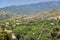 The countryside at the foot of Mount Troodos. Limassol. Cyprus