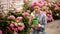 Countryside gardening. Woman care flowers and watering Hydrangea.