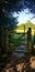 Countryside gate in the rural County of Sussex