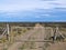 Countryside gate on the rural road of Patagonia