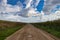 Countryside gravel road at Morsum Sylt