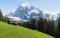 Countryside, green grassland, pine forest, a house and Alps mountain range in summer at Switzerland