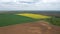 Countryside with green and yellow spring fields