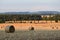 Countryside. Harvested field. Round bundle of straw. Time of harvest.