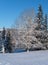 Countryside hills, groves and farmlands in winter remote alpine mountain village