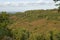 Countryside at Hindhead, Surrey, England