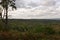 Countryside at Hindhead, Surrey, England