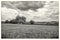 Countryside landscape in black and white of dramatic clouds