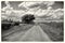 Countryside landscape in black and white of dramatic clouds and country road