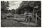 Countryside landscape in black and white of fences and signposts