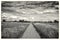 Countryside landscape in black and white of wheatfields