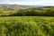 Countryside landscape at dawn in the Monts du Lyonnais