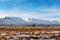 Countryside landscape, farmland in winter with horses and snow mountain in the morning