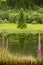 Countryside landscape with flowering meadows,pond and forest in background, UK, Europe