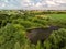 Countryside landscape with forest and ponds in Russia, top view