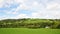 Countryside Landscape of Green Fields