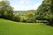 Countryside Landscape of Green Fields