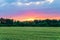 Countryside landscape with green ripening ears of wheat field under cloudy sky at sunset