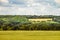 Countryside landscape with greens of ripening wheat field