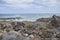 Countryside landscape in Lanzarote