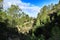 Countryside landscape with native bushes and conifers