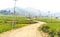 Countryside landscape in Nepal, paddy fields in village