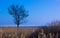 countryside landscape in the plain in Veneto Italy.