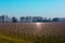 countryside landscape in the plain in Veneto Italy.