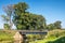 Countryside landscape railroad steel bridge over water canal