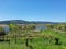 Countryside landscape with small vineyard growing grapes and farm houses, Portugal