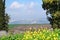 Countryside landscape with a view of the Jezreel Valley, Lower Galilee, Israel