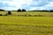 Countryside landscape view over meadow. Beautiful landscape