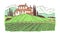 Countryside landscape with vineyard and cottage vector illustration isolated.