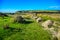 Countryside landscape on the way to Seven Sisters in South Downs National Park, East Sussex, Eastbourne, UK