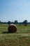 Countryside natural landscape. Grain crop, harvesting.