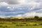 Countryside near Arundel