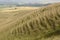 Countryside near Calne. Wiltshire. UK