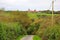 Countryside near Elmscott on North Devon Coast near Hartland Quay, England, UK