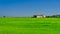 Countryside near Vercelli, Italy, at summer