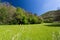 Countryside - Orpiano - Macerata - Marche - Italy