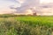 Countryside panorama at sunset in Turin on a summer day